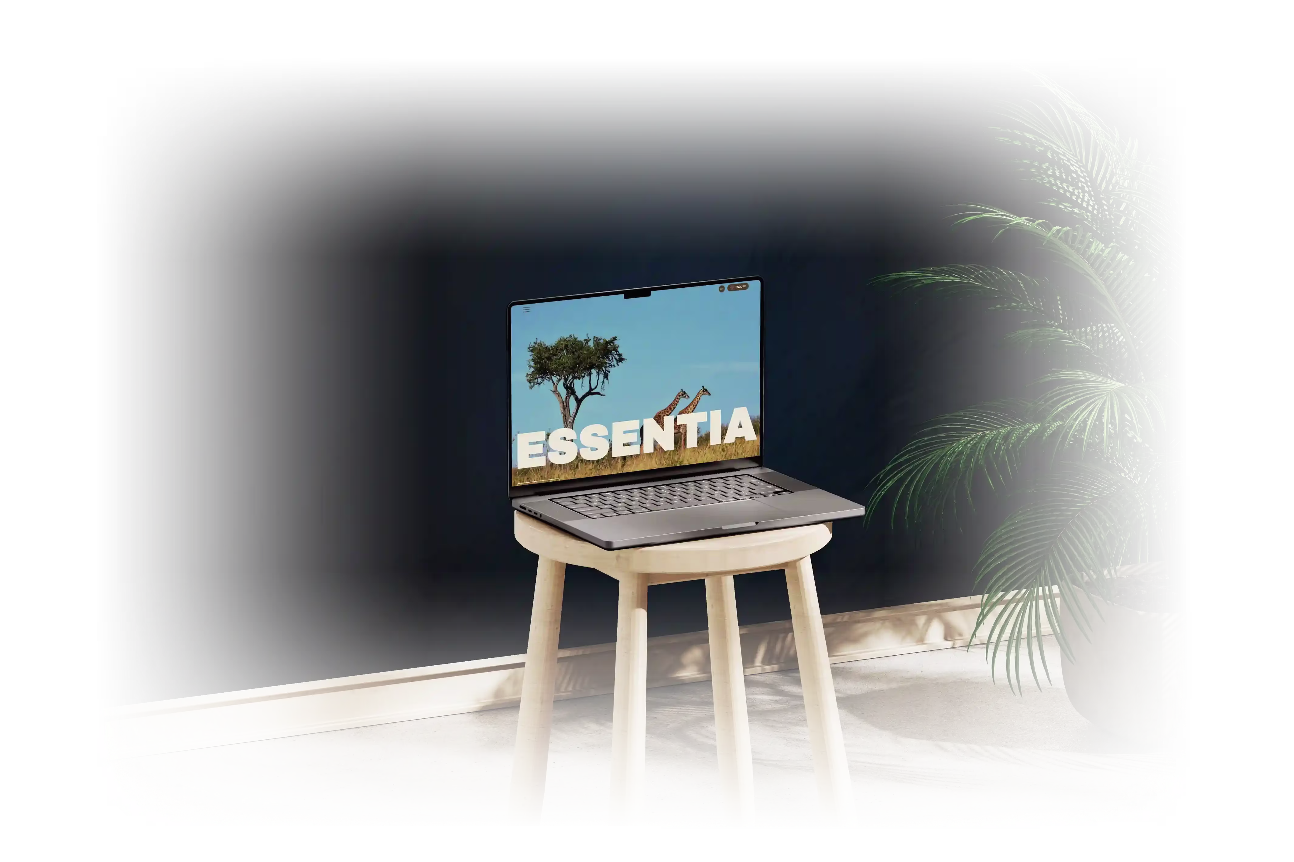 Essentia project mockup